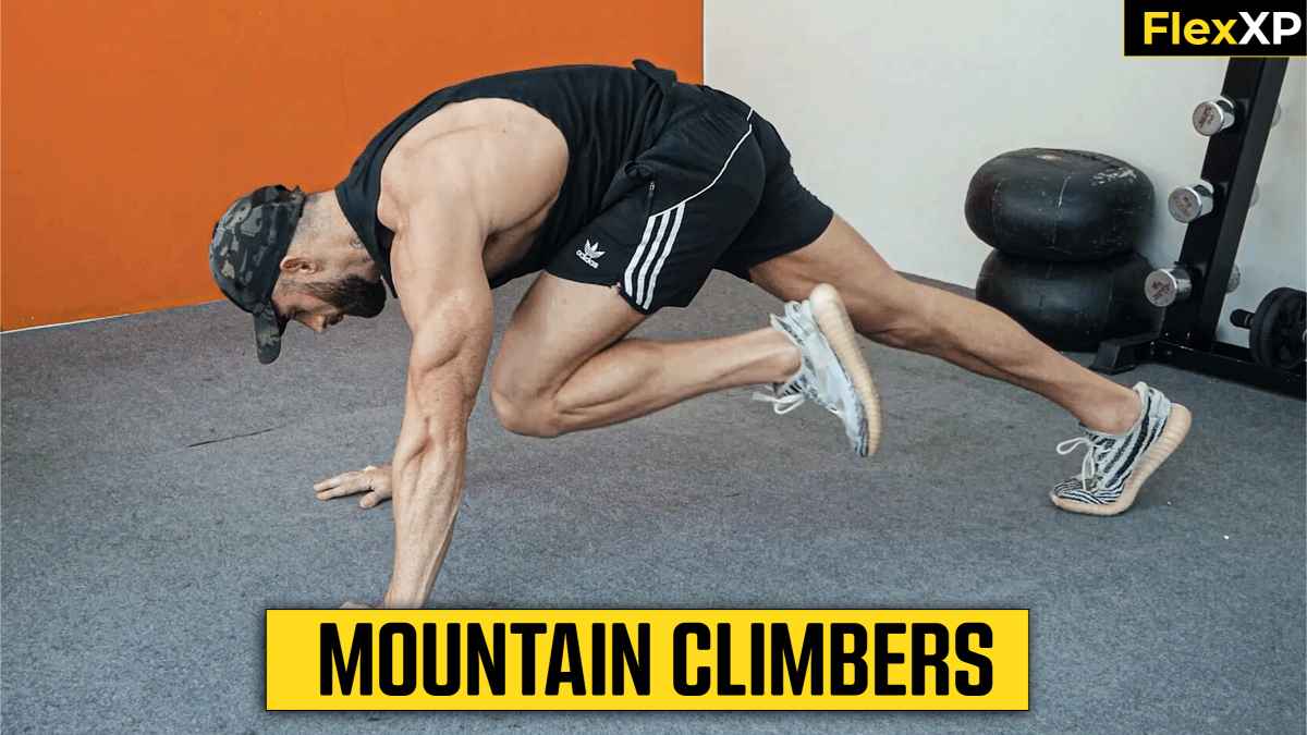 Mountain Climbers