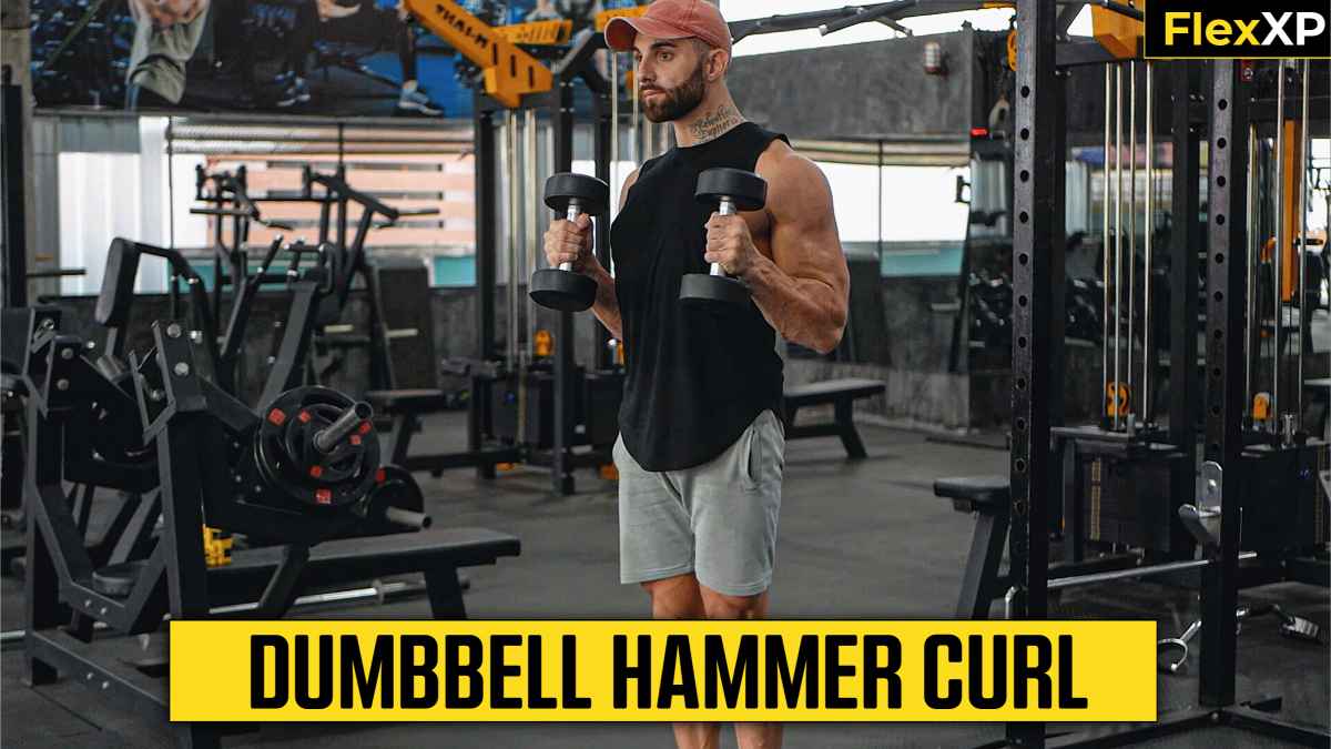 Dumbbell Hammer Curl