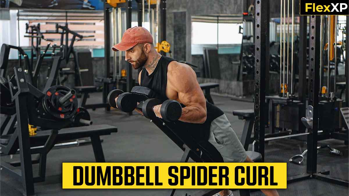 Dumbbell Spider Curl