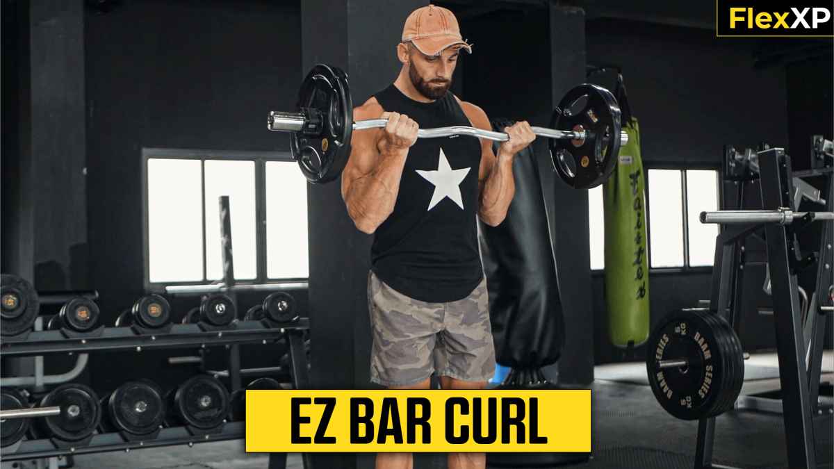 EZ Bar Curl