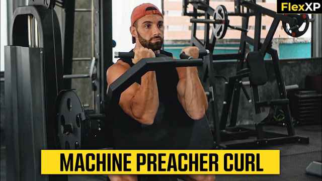 Machine Preacher Curl