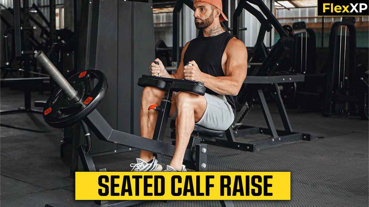 Seated Calf Raise