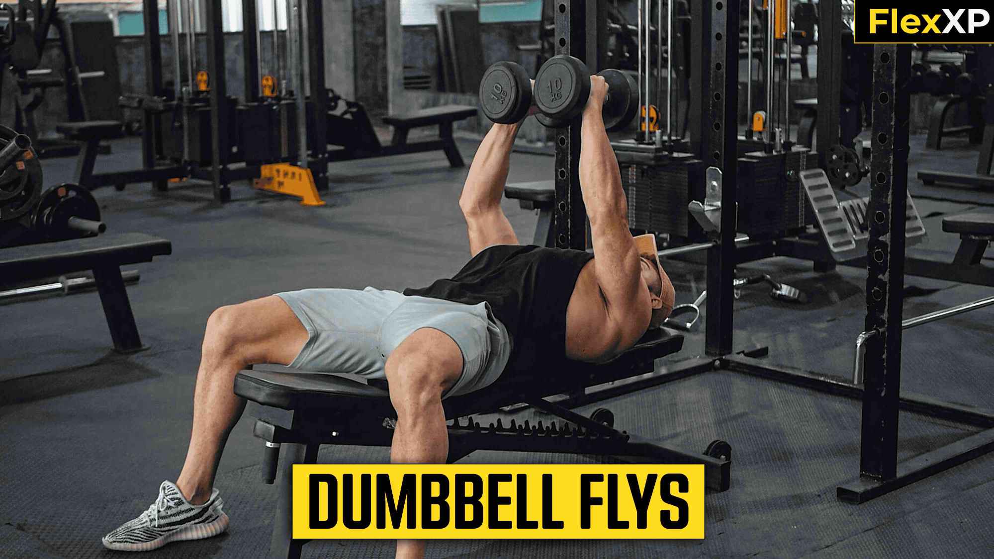 Dumbbell Flys