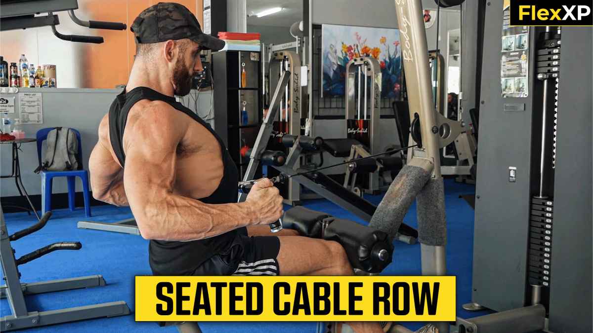 Seated Cable Row