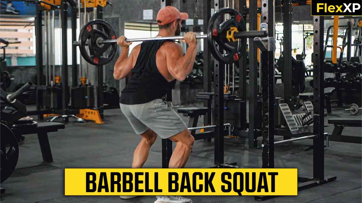 Barbell Back Squat