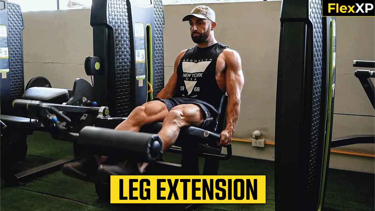 Leg Extension