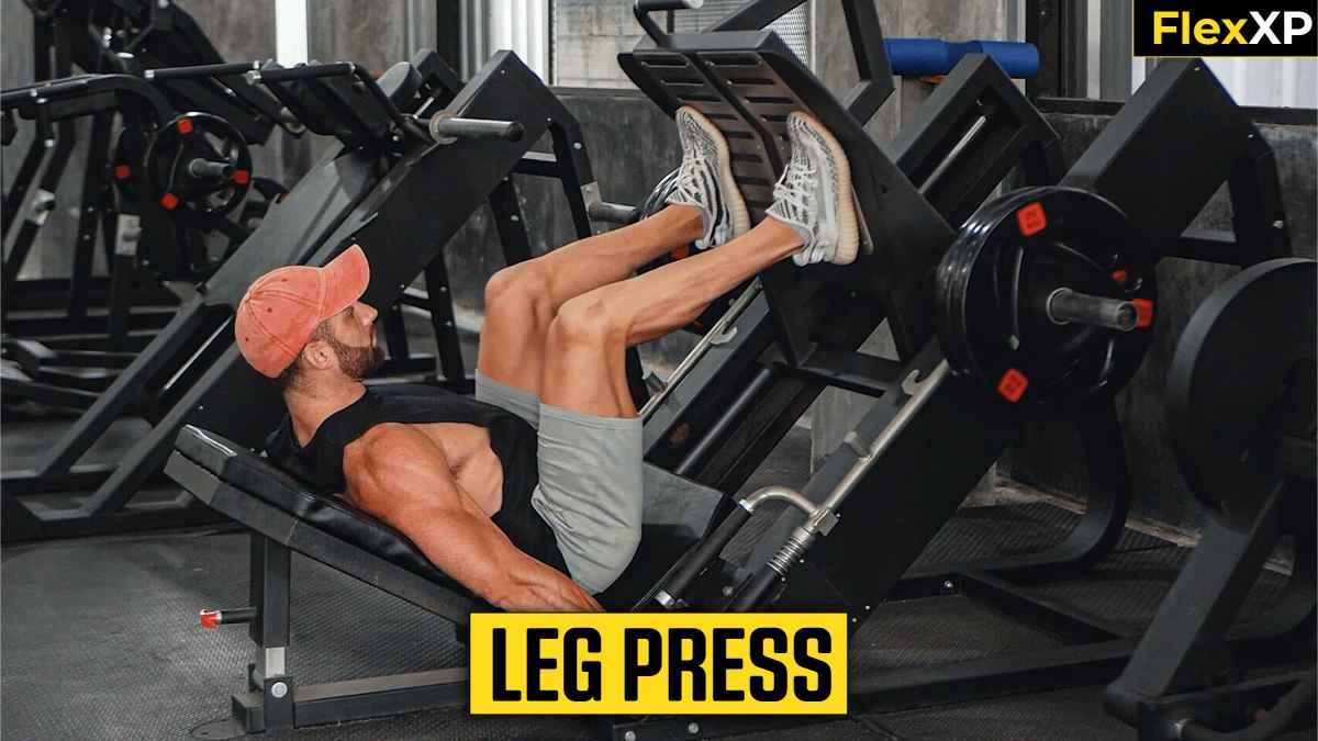 Leg Press