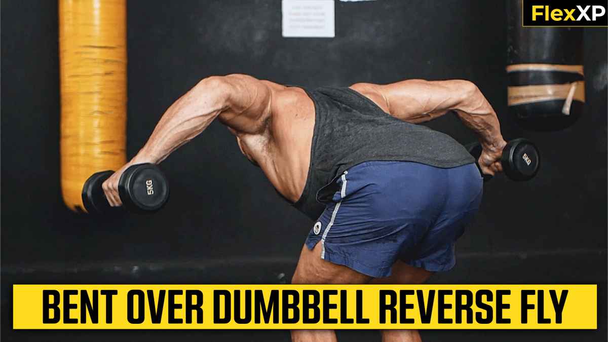 Bent Over Dumbbell Reverse Fly