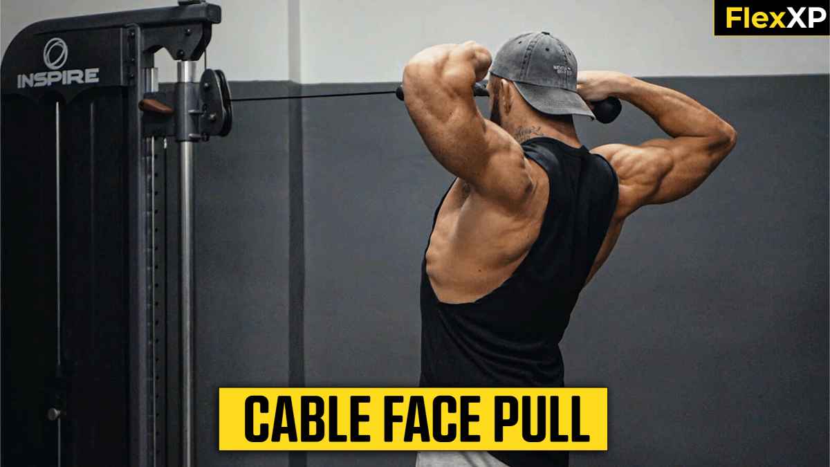 Cable Face Pull