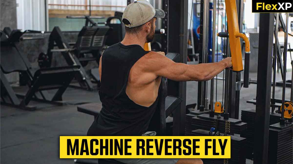 Machine Reverse Fly