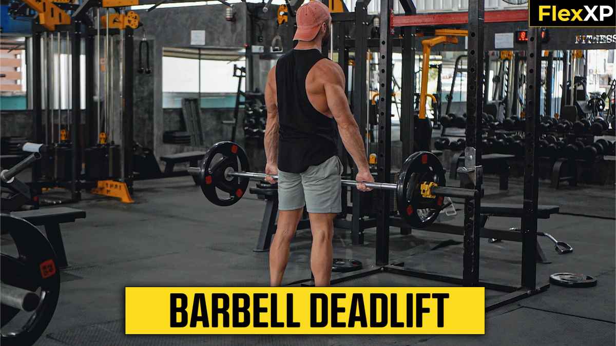 Barbell Deadlift