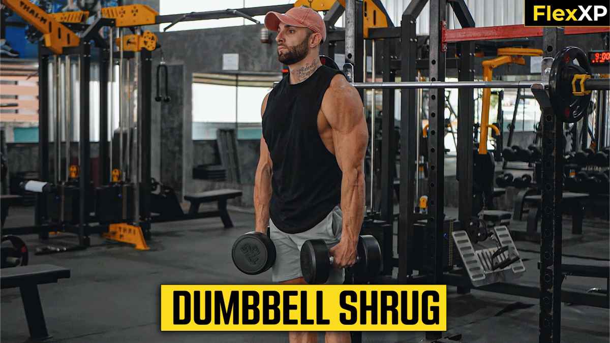 Dumbbell Shrug