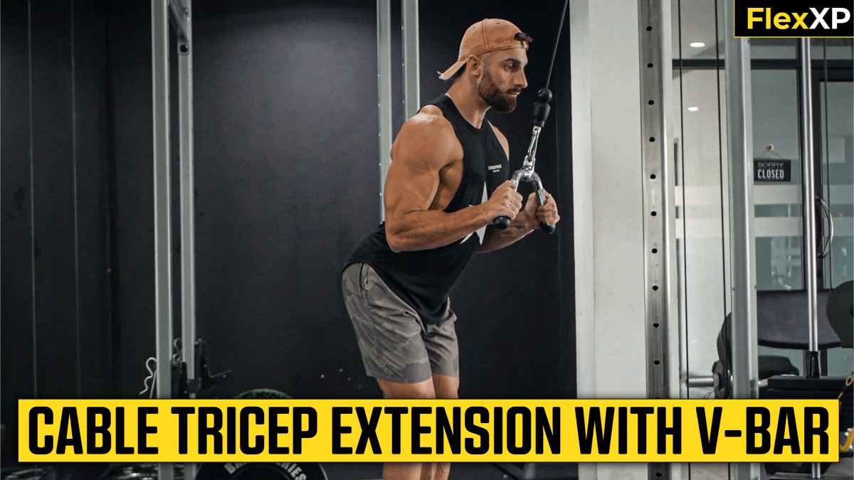 Cable Tricep Extension With V Bar