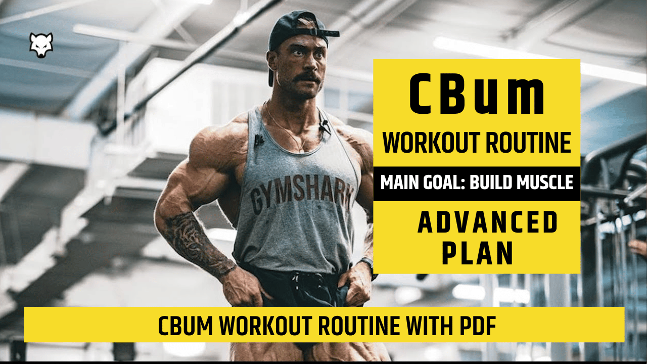 CBum's Workout Routine cover