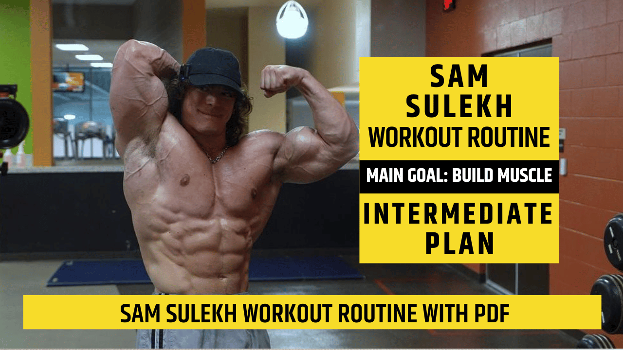 Sam Sulekh's Workout Routine cover